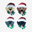 Four dogs wearing Santa caps and paw print scarves: yellow, brown, grey and black