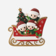 Family in Sleigh with 3