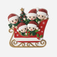 Family in Sleigh with 5
